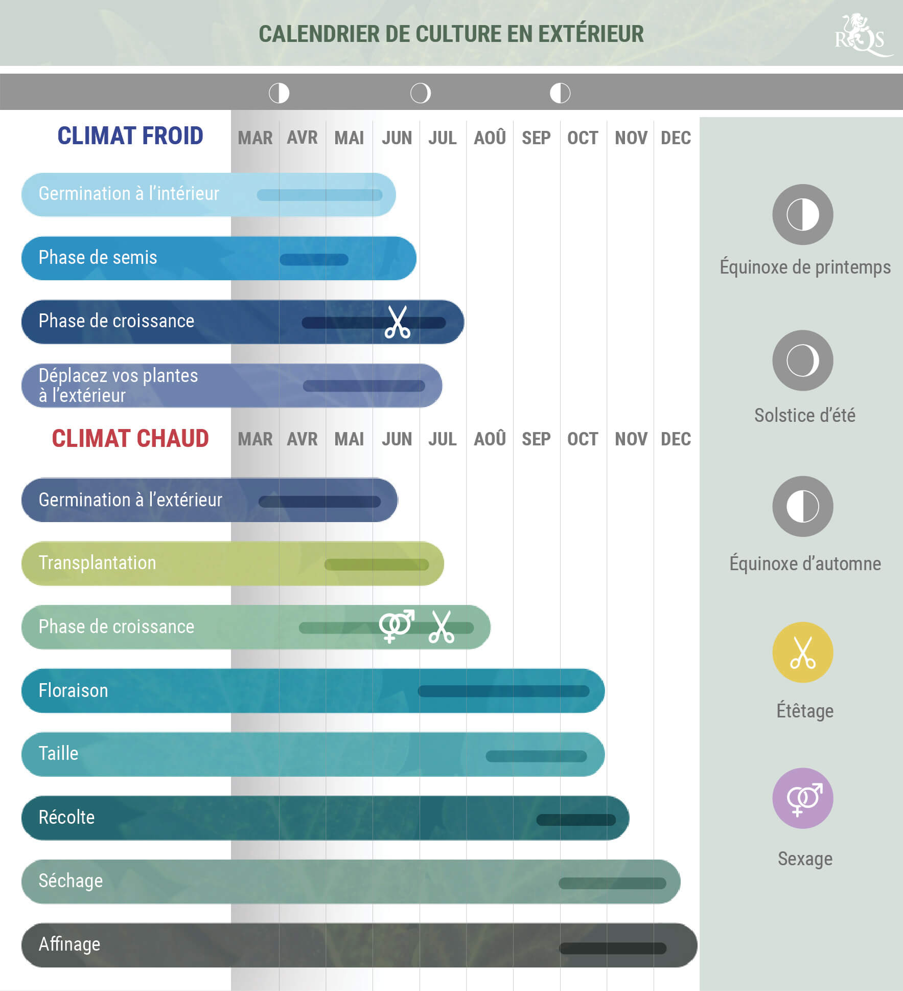 Diagramme du cycle de croissance du cannabis dans les climats froids et chauds, avec les étapes de germination, floraison et récolte, et les points clés comme les équinoxes et solstices.