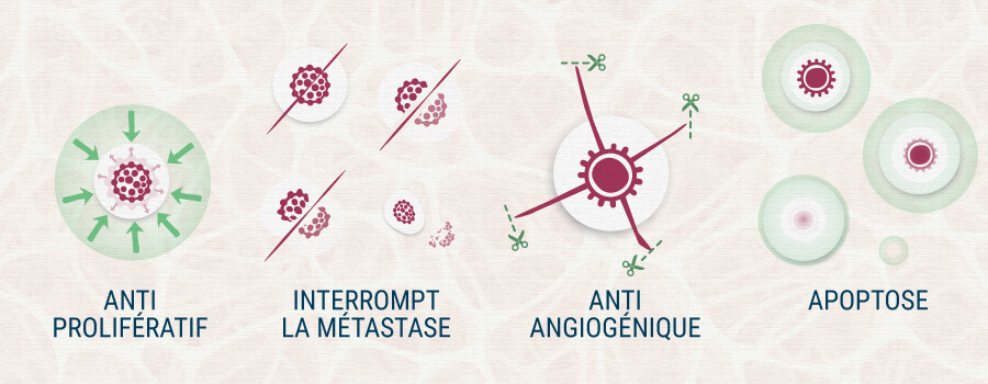 Cannabis Et Cancer Cannabis Et Cancer