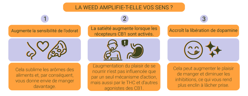 La weed amplifie-t-elle nos sens ?