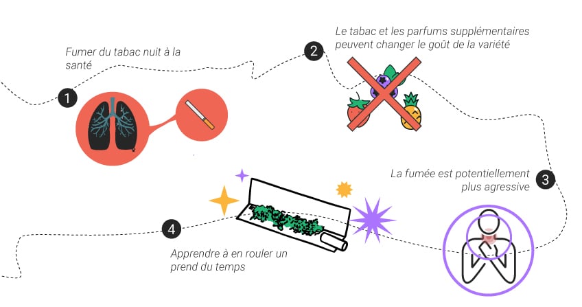 Guide Pour Rouler Le Blunt Parfait - Zamnesia Blog