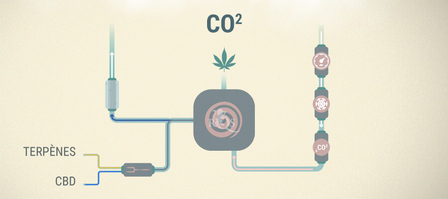 Extraction De Co2 Cbd Extraction De Co2 Cbd