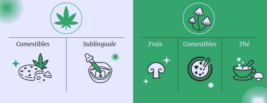 Cannabis vs champignons magiques