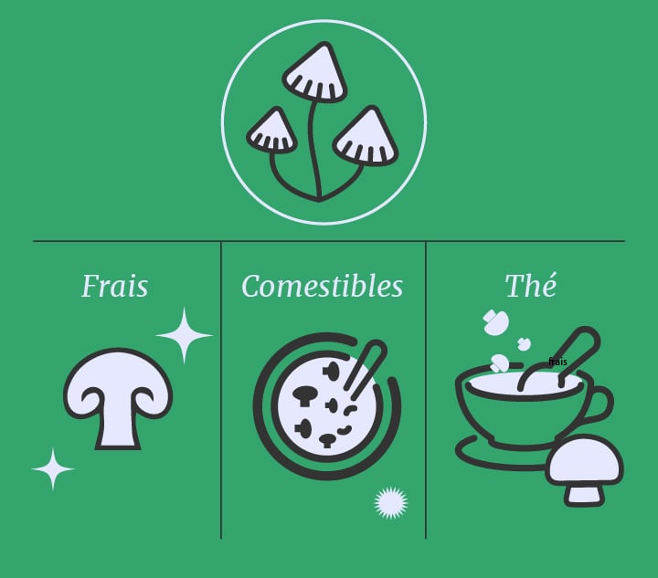  Cannabis vs champignons magiques