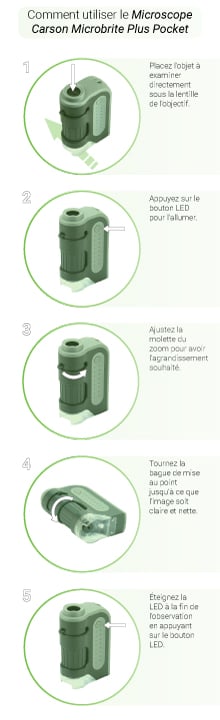 How to use the Carson Microbrite Plus Pocket Microscope