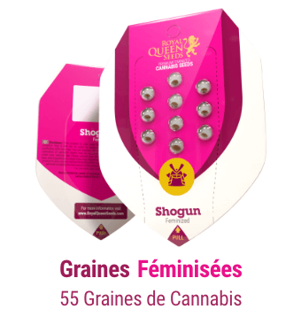 graines-cannabis-fëminisees