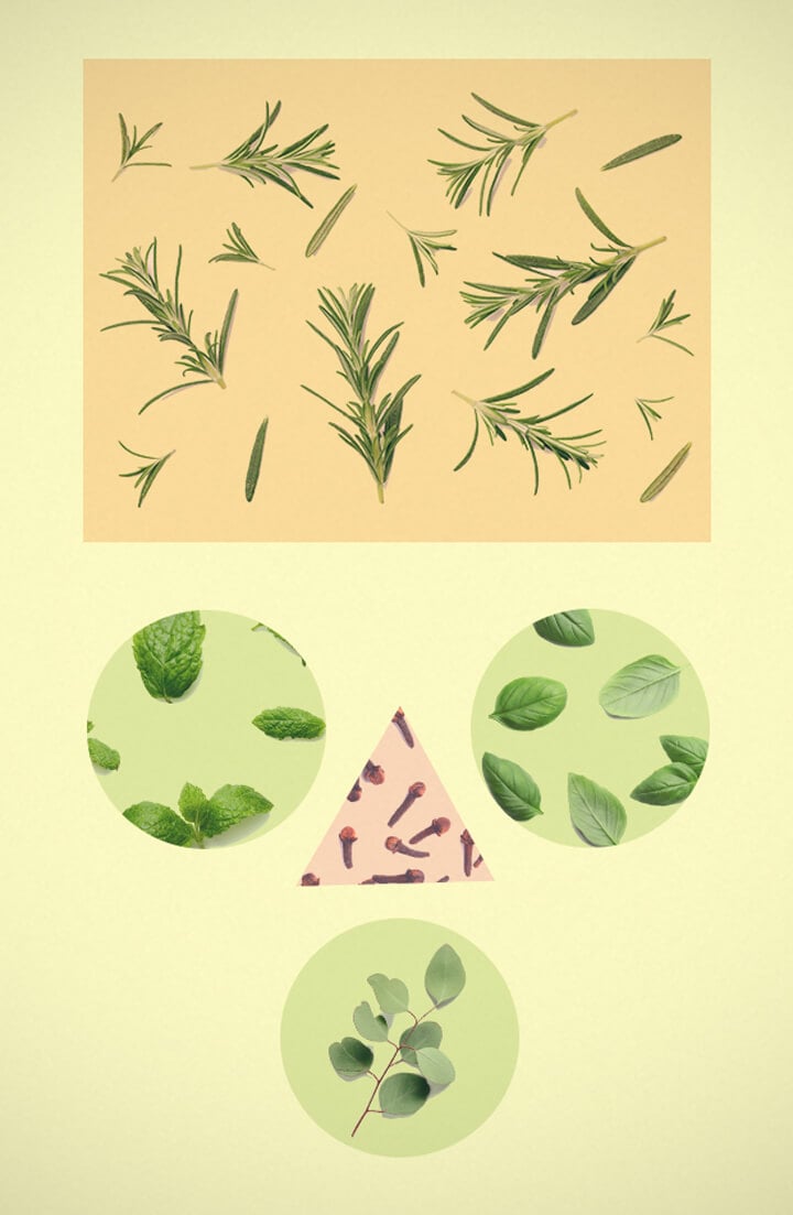 Mélange Contre La Grippe Mélange Contre La Grippe
