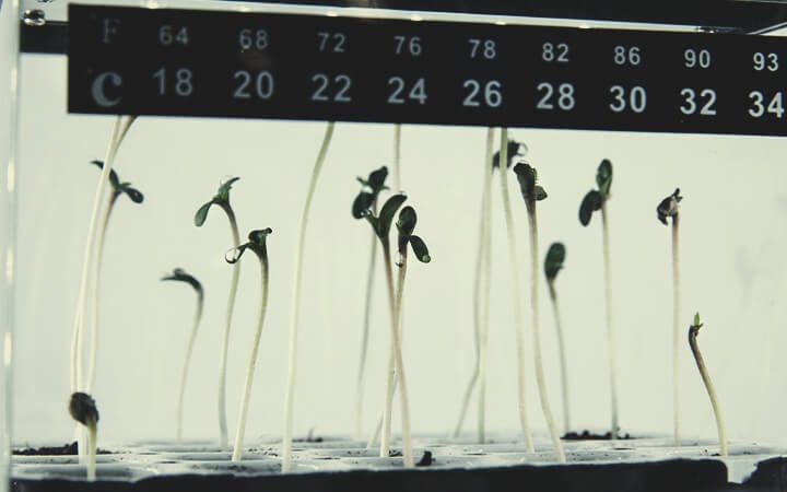 MÉTHODES DE GERMINATION