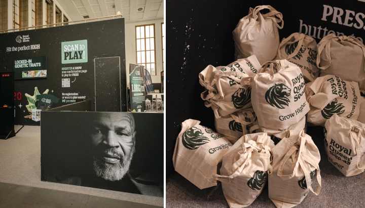 Explorez le stand Royal Queen Seeds avec des jeux interactifs, des sacs cadeaux personnalisés et les temps forts de l’événement TYSON 2.0.