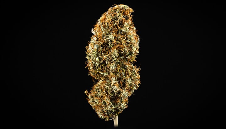 Qu’est-ce que le cannabis de qualité supérieure? Qu’est-ce que le cannabis de qualité supérieure?