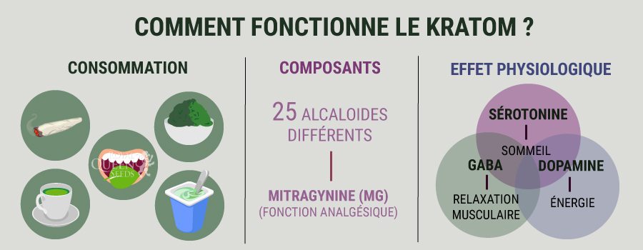 Comment fonctionne le Kratom