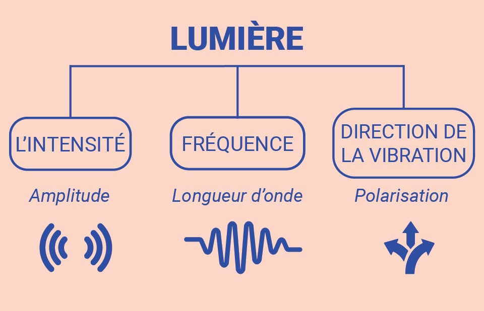 Spectre lumineux visible et invisible Spectre lumineux visible et invisible
