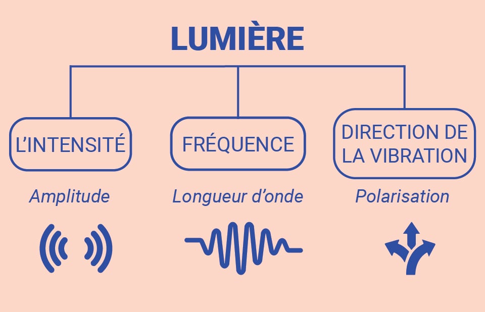 Spectre lumineux visible et invisible