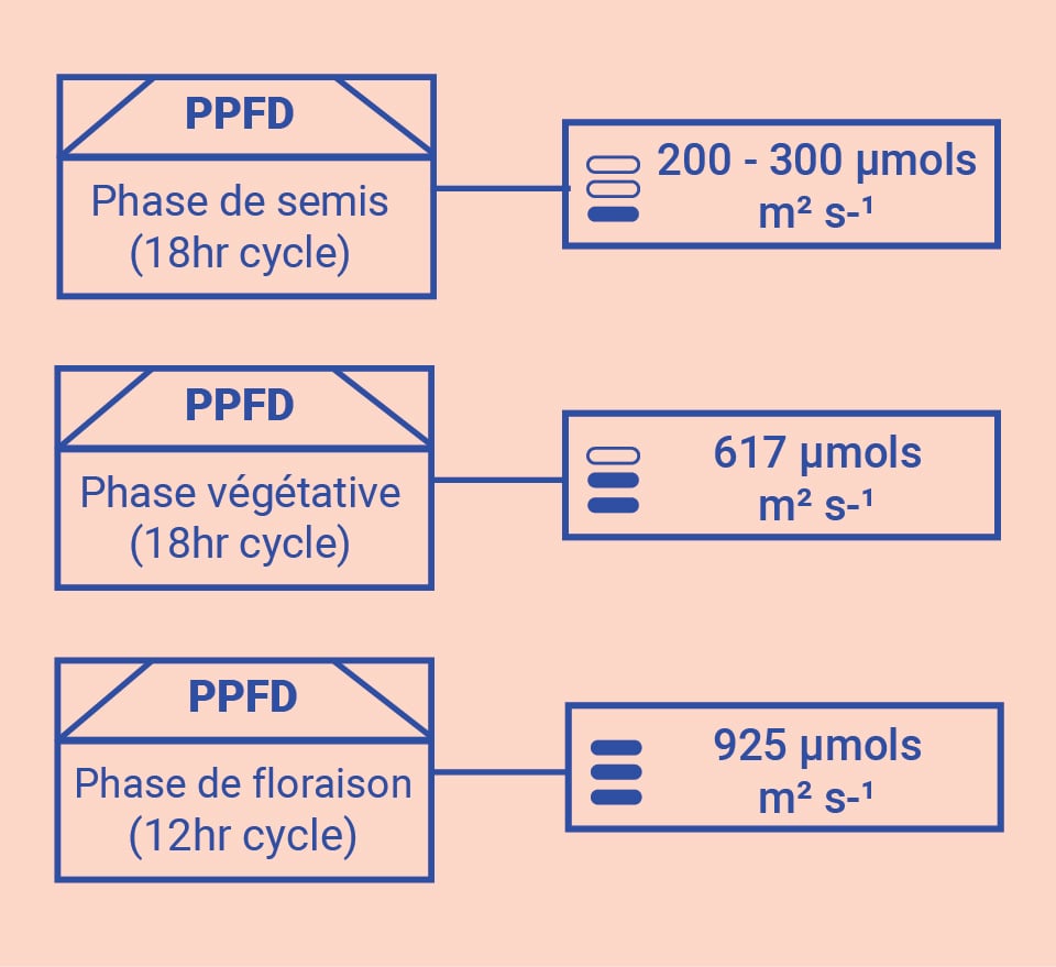 Optimiser vos connaissances dans la salle de culture Optimiser vos connaissances dans la salle de culture