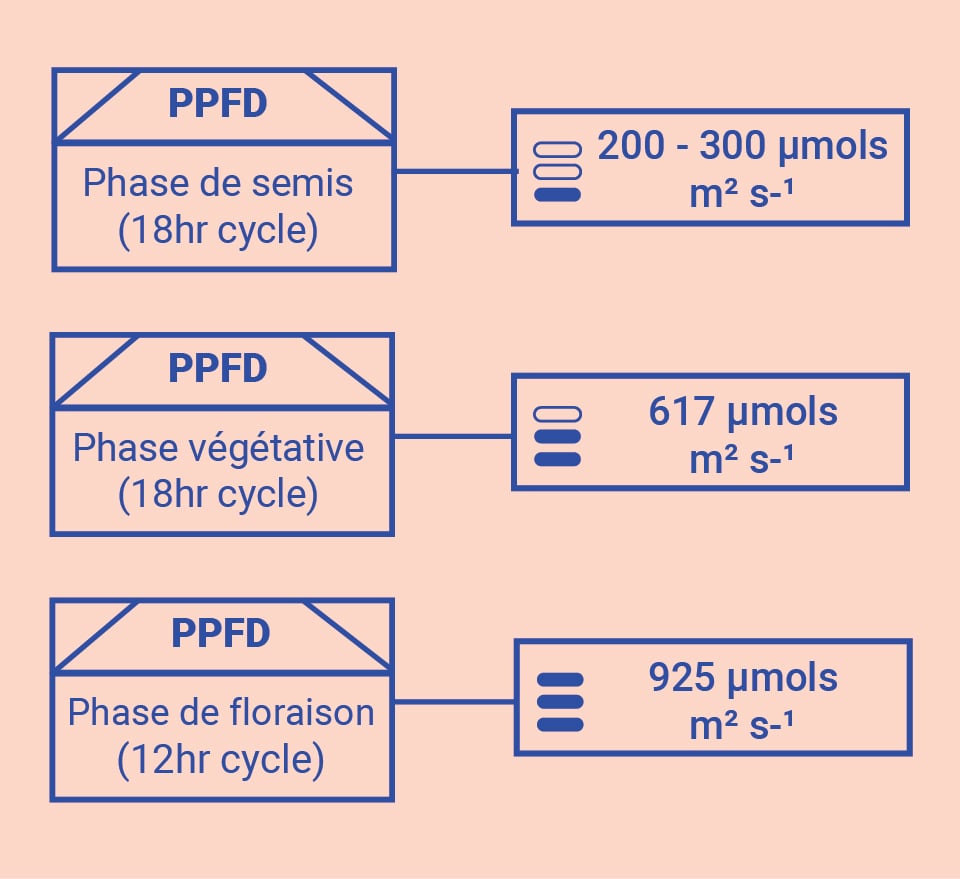 Optimiser vos connaissances dans la salle de culture