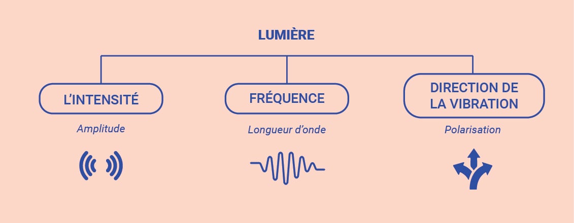 Spectre lumineux visible et invisible