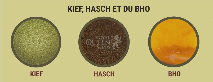 Kief, Hasch et du BHO 