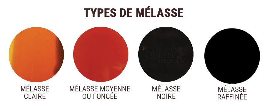 MÉLASSE SULFURÉE ET NON SULFURÉE MÉLASSE SULFURÉE ET NON SULFURÉE