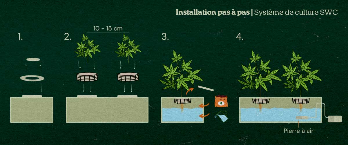 Comment installer un système de culture en eau peu profonde maison pour le cannabis Comment installer un système de culture en eau peu profonde maison pour le cannabis