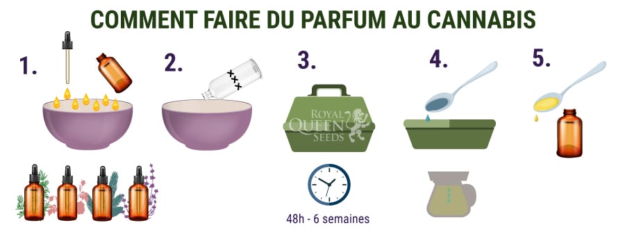 Comment Faire Du Parfum Au Cannabis 