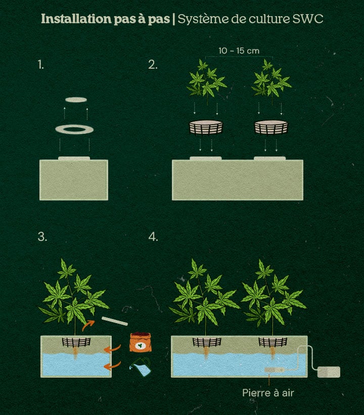 Comment installer un système de culture en eau peu profonde maison pour le cannabis Comment installer un système de culture en eau peu profonde maison pour le cannabis