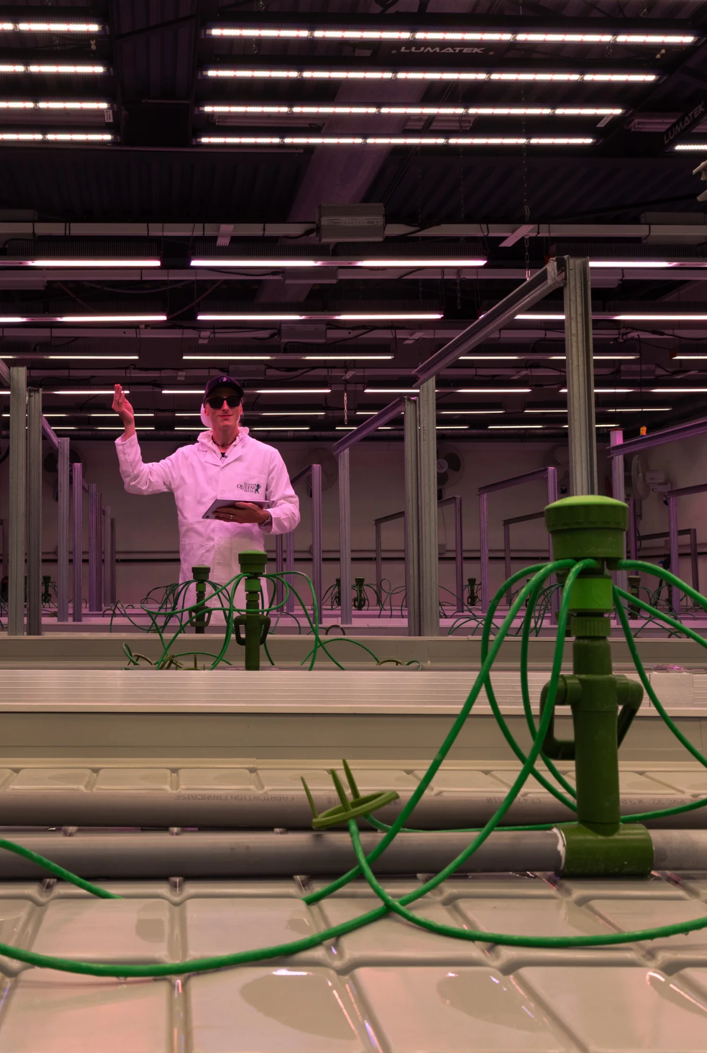 Installation de salle de culture pour le crop steering du cannabis Salle de culture de cannabis contrôlée préparée pour des essais de crop steering, montrant des goutteurs d’irrigation, des bancs hydroponiques, des lampes de culture suspendues et un chercheur surveillant l’installation.