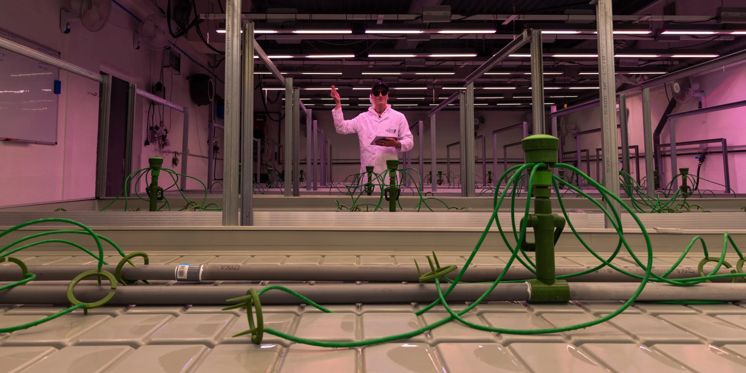 Installation de salle de culture pour le crop steering du cannabis Salle de culture de cannabis contrôlée préparée pour des essais de crop steering, montrant des goutteurs d’irrigation, des bancs hydroponiques, des lampes de culture suspendues et un chercheur surveillant l’installation.