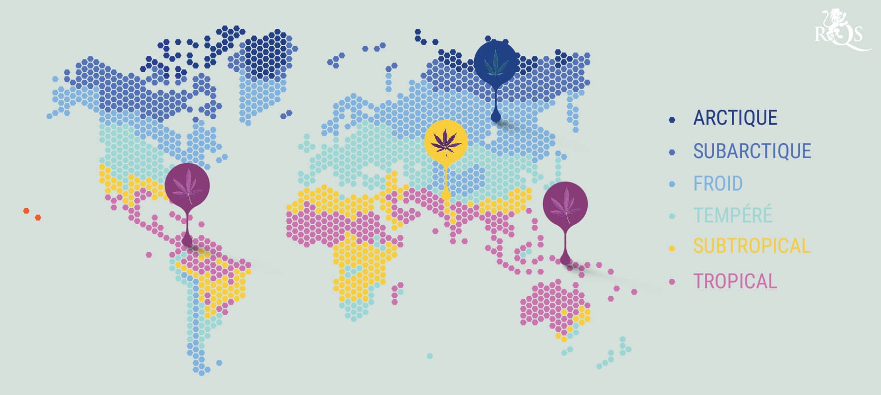 Carte du monde avec des régions colorées représentant différentes zones climatiques, chacune marquée par une icône de feuille de cannabis correspondant à son climat.