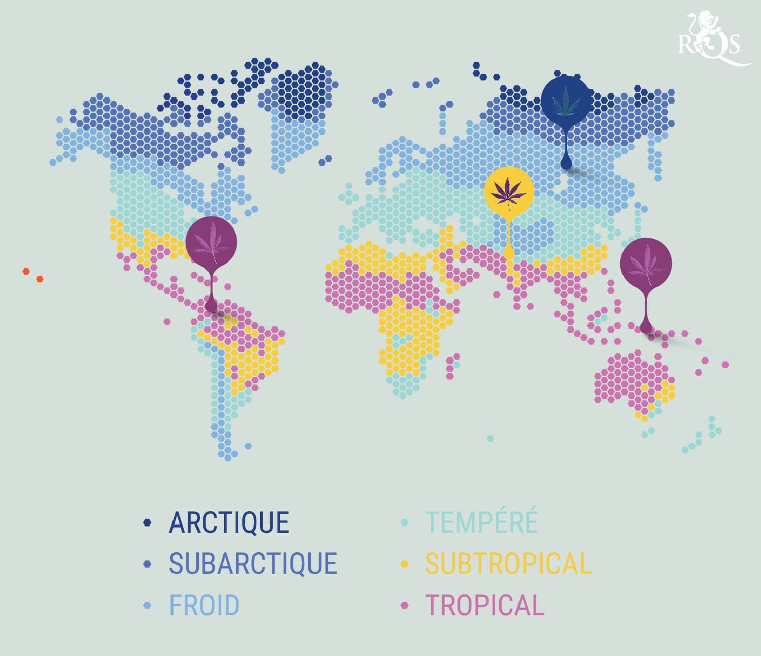 Carte du monde avec des régions colorées représentant différentes zones climatiques, chacune marquée par une icône de feuille de cannabis correspondant à son climat.