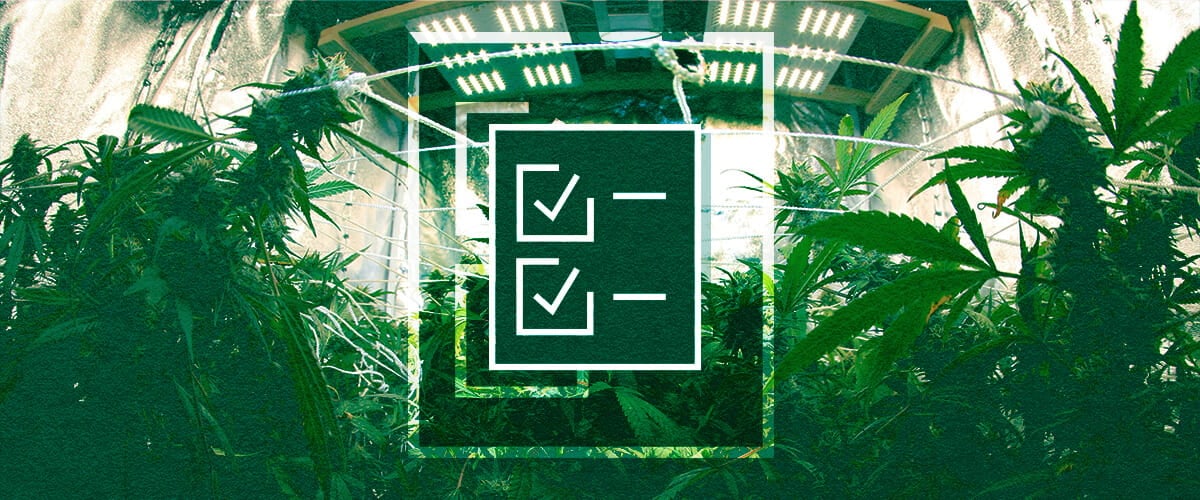 Liste de Contrôle de l'Équipement de Tente de Culture : Lumières, Ventilation, Minuteries et Alimentation Liste de contrôle de l'équipement de tente de culture pour débutants : Assurez votre succès avec l'éclairage essentiel, les systèmes de ventilation, les minuteries et les contrôleurs, ainsi que la gestion de l'alimentation pour votre jardin intérieur.