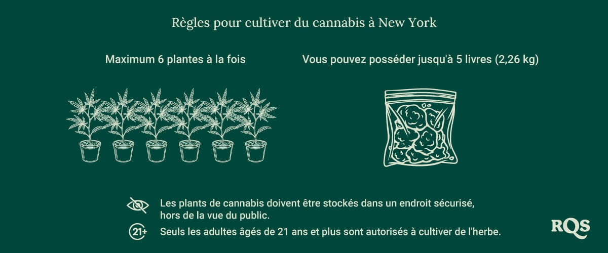 Growing weed in New York rules