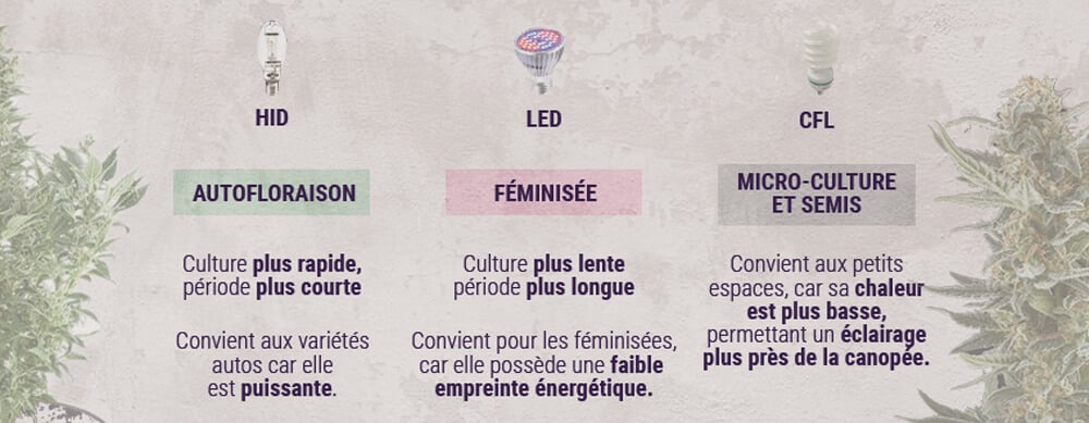 Utiliser une lampe LED : 6 erreurs à éviter - RQS Blog