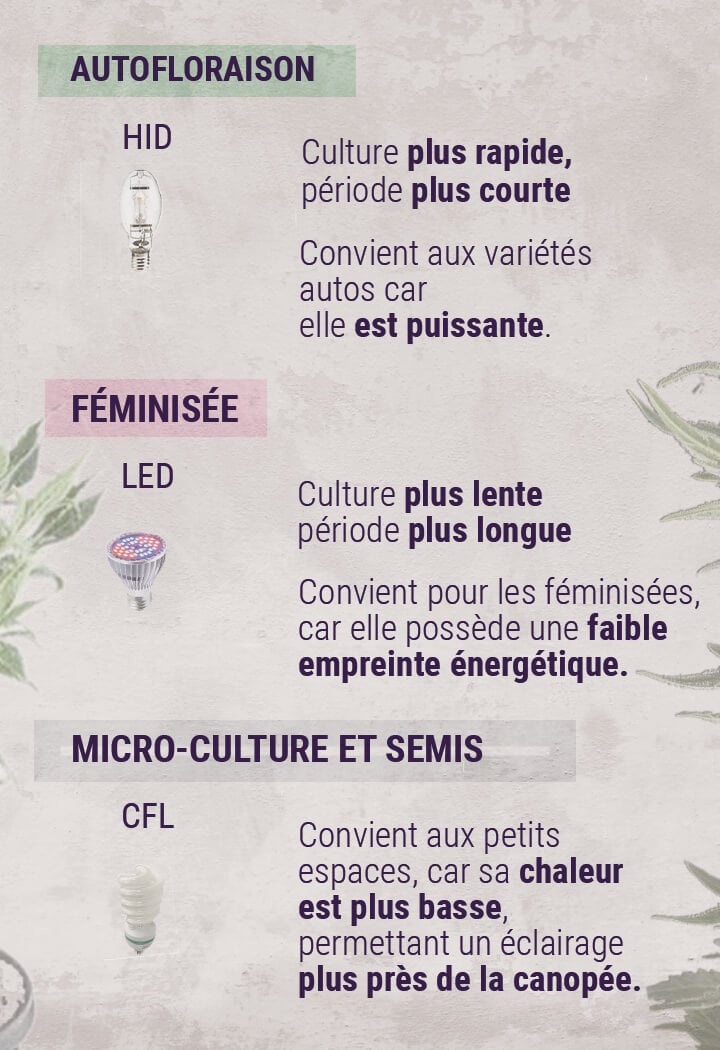 Types-of-Light-when-growing-Cannabis