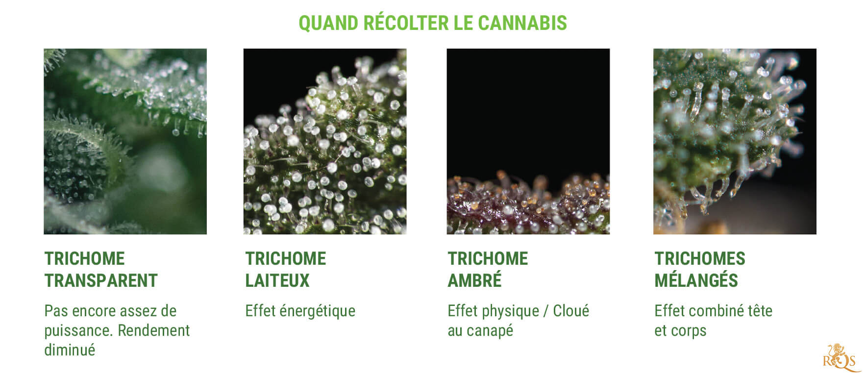 ILS INDIQUENT LE MOMENT DE RÉCOLTER ILS INDIQUENT LE MOMENT DE RÉCOLTER