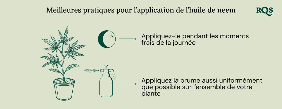 How to apply neem oil