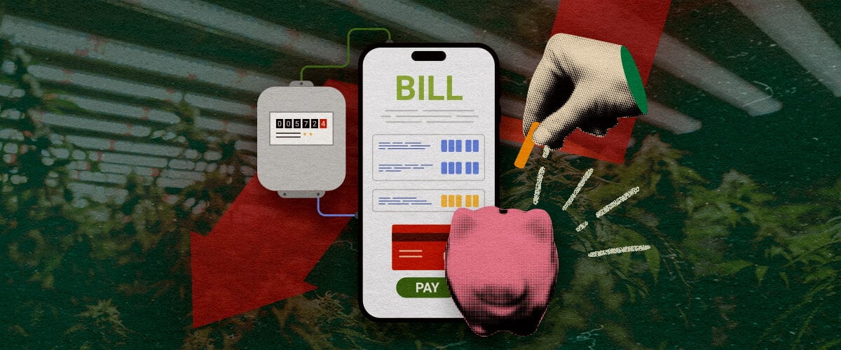 Comment Réduire les Factures Électriques : Image Compteur Compteur électrique avec facture de smartphone et tirelire, illustrant des moyens de réduire les coûts d'électricité de la salle de culture sur un fond vert foncé, idéal pour des conseils d'économies de cannabis.