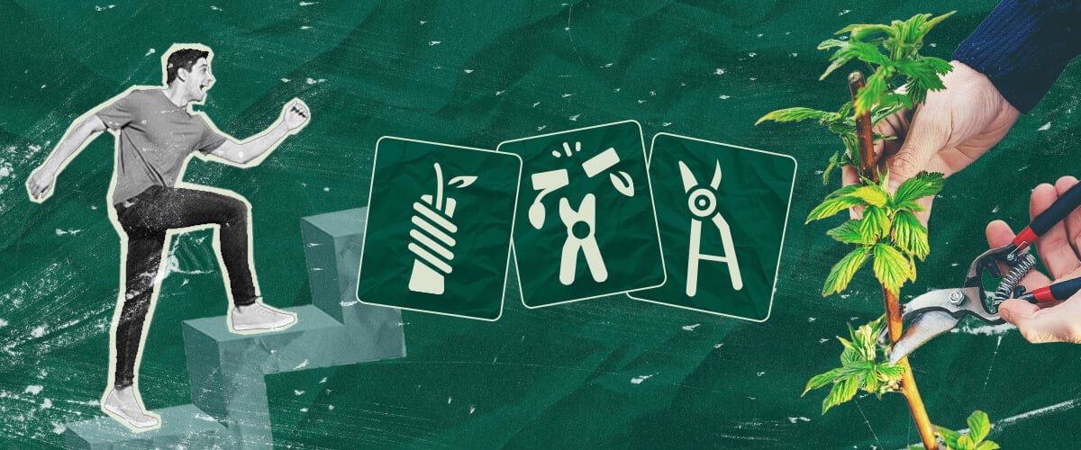 Comment Greffer des Plants de Cannabis : Votre Tutoriel Étape par Étape Apprenez à greffer des plants de cannabis grâce à notre guide étape par étape. Découvrez l'équipement nécessaire, comment choisir le meilleur porte-greffe et greffon, et suivez notre tutoriel de greffage.