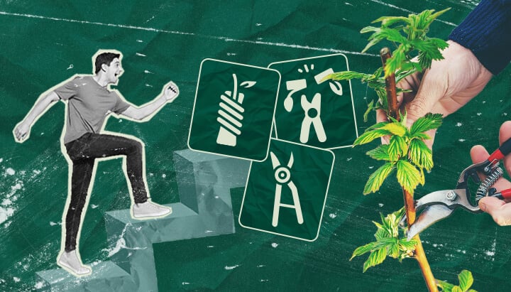 Comment Greffer des Plants de Cannabis : Votre Tutoriel Étape par Étape Apprenez à greffer des plants de cannabis grâce à notre guide étape par étape. Découvrez l'équipement nécessaire, comment choisir le meilleur porte-greffe et greffon, et suivez notre tutoriel de greffage.