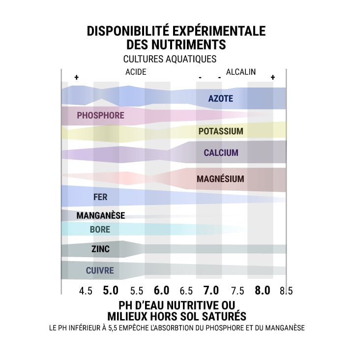 Dipsonibilité Expérimentale Des Nutriments Cultures Aquatiques