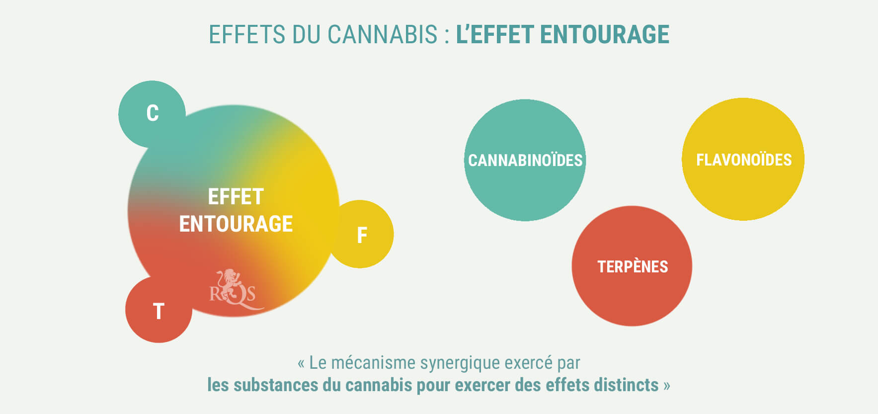 LES CANNABIS INDICA ET SATIVA PRODUISENT-ILS DES EFFETS DIFFÉRENTS ? LES CANNABIS INDICA ET SATIVA PRODUISENT-ILS DES EFFETS DIFFÉRENTS ?