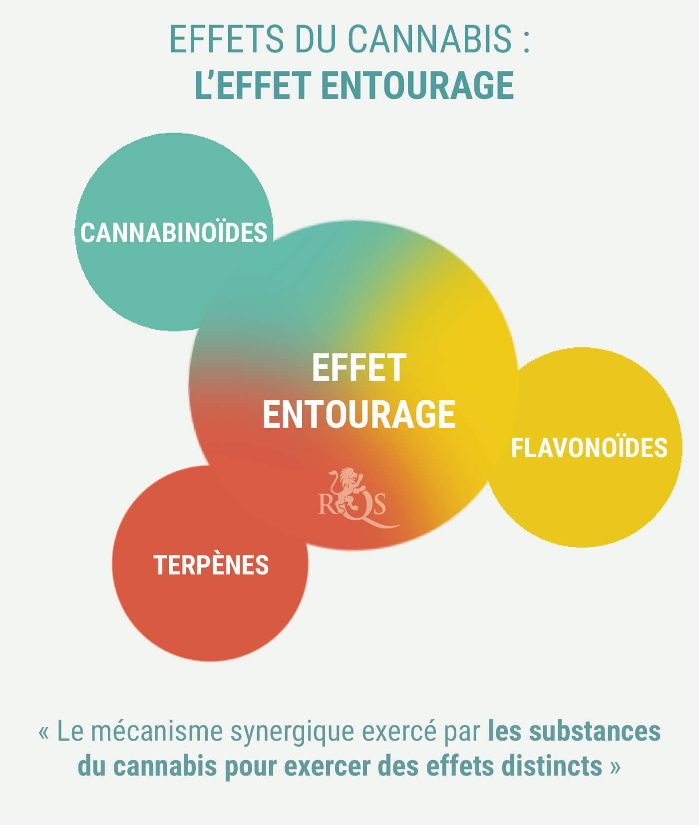 LES CANNABIS INDICA ET SATIVA PRODUISENT-ILS DES EFFETS DIFFÉRENTS ? LES CANNABIS INDICA ET SATIVA PRODUISENT-ILS DES EFFETS DIFFÉRENTS ?