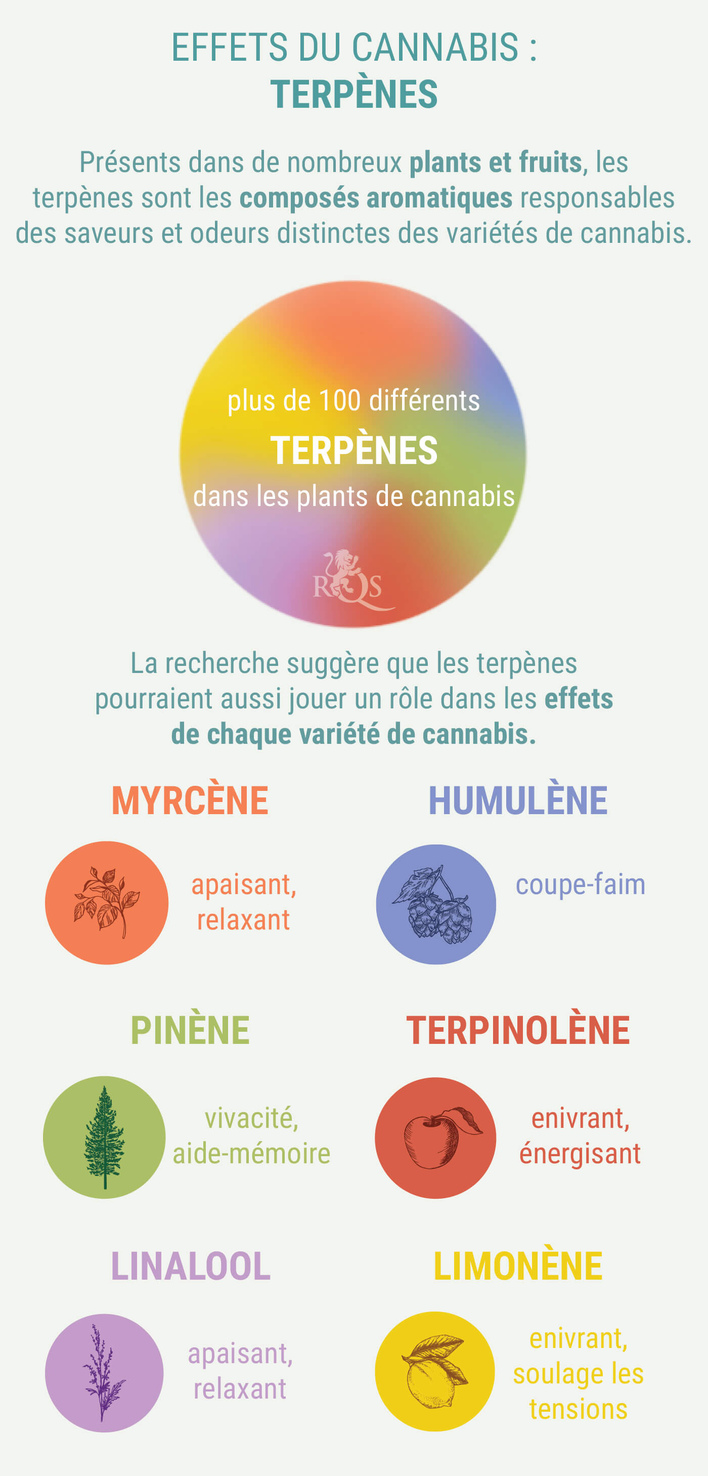 DES MÉLANGES PERSONNALISÉS D’INDICA ET DE SATIVA DES MÉLANGES PERSONNALISÉS D’INDICA ET DE SATIVA