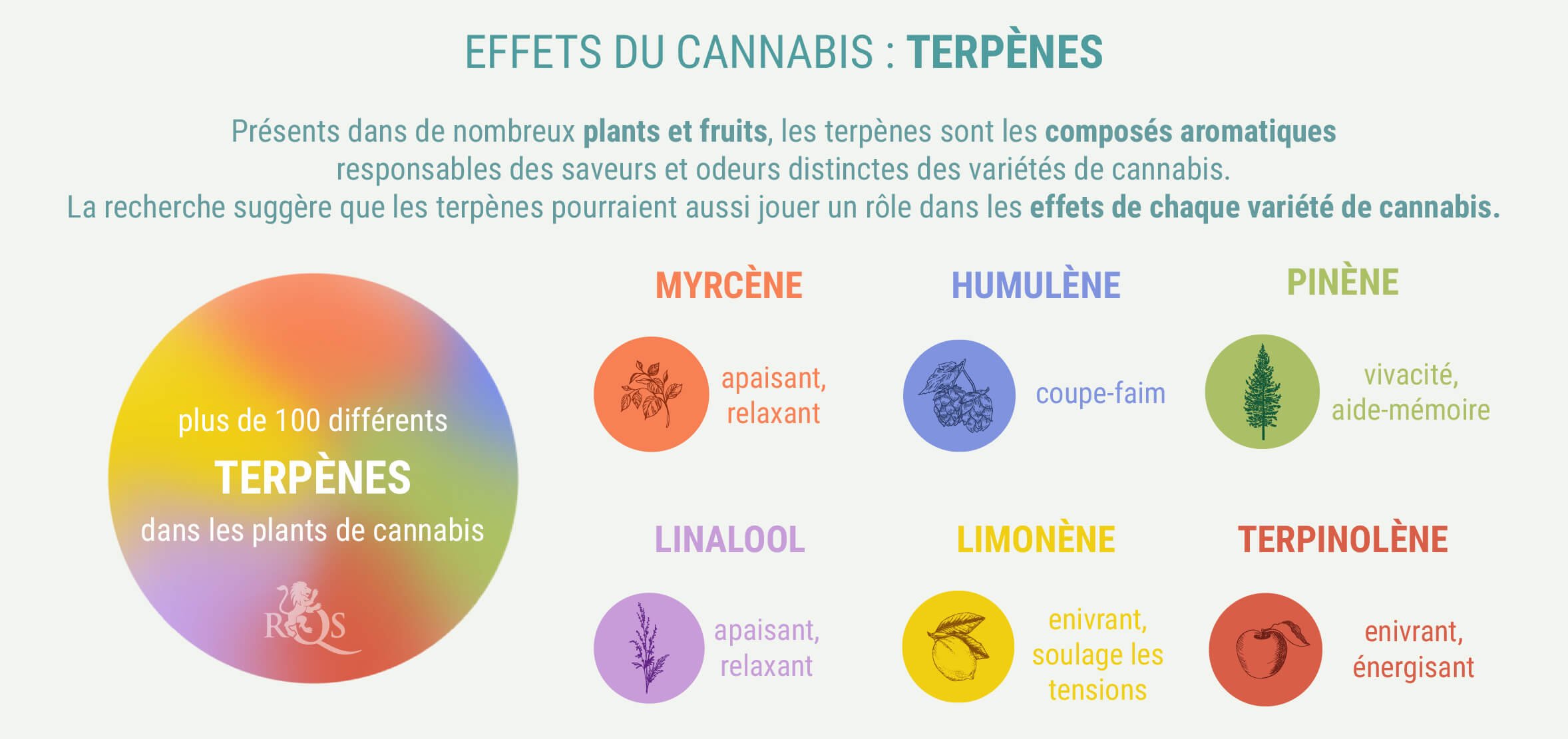 DES MÉLANGES PERSONNALISÉS D’INDICA ET DE SATIVA