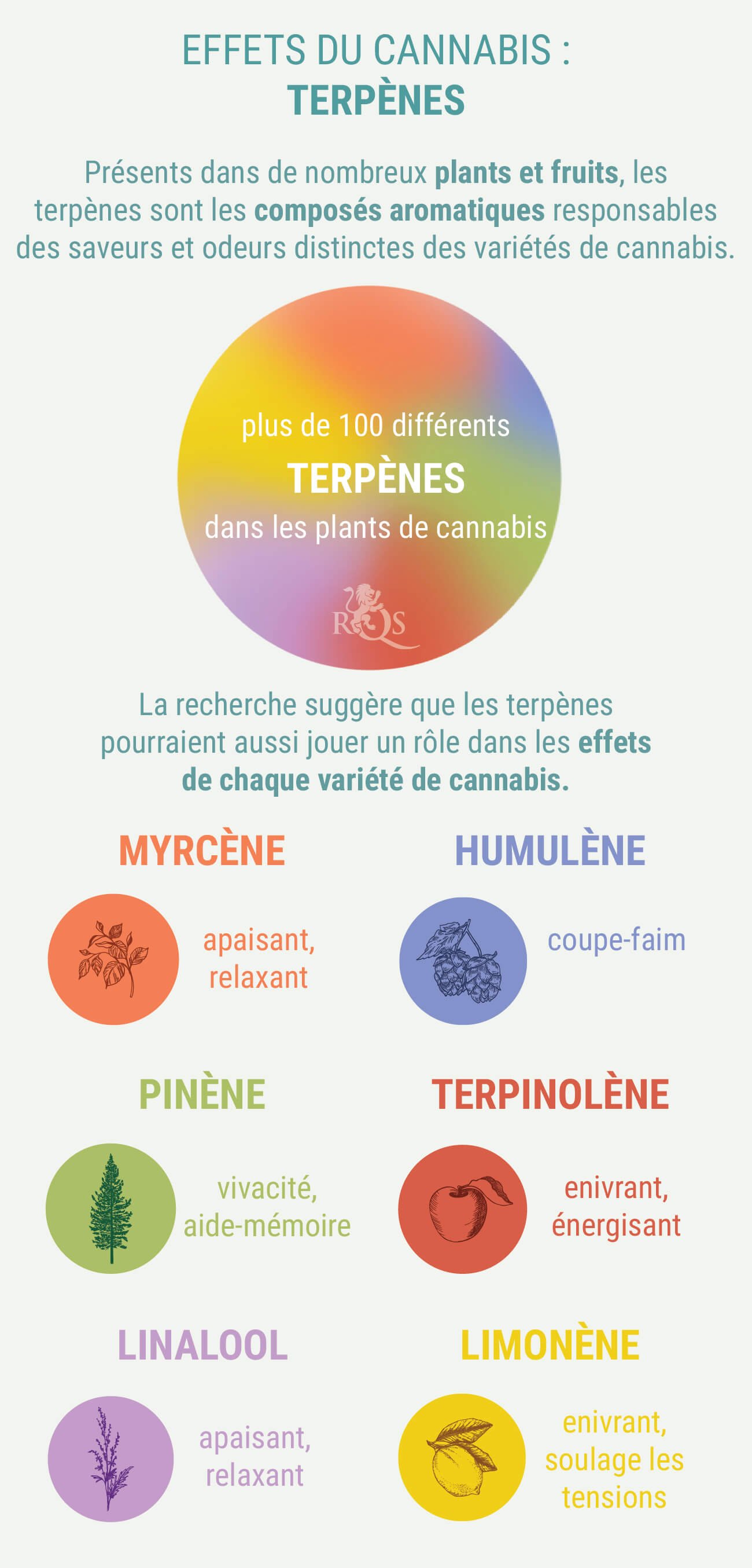 DES MÉLANGES PERSONNALISÉS D’INDICA ET DE SATIVA