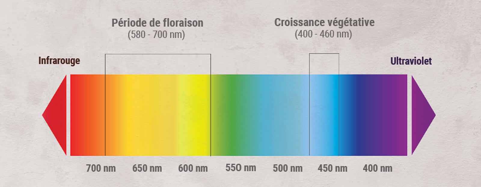 Guide sur les lumens et la puissance lumineuse des LED Barcelona LED - Blog