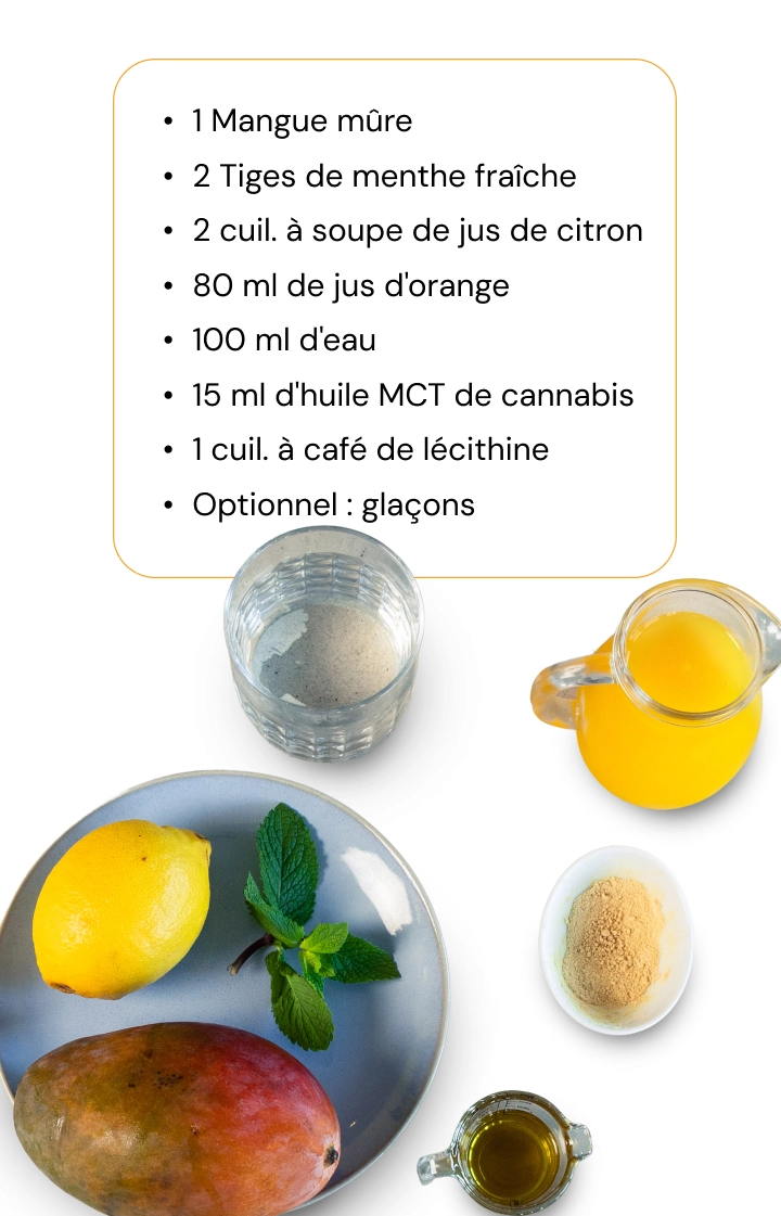 Comment préparer un smoothie au cannabis avec mangue, agrumes et huile MCT au cannabis Ingrédients pour un smoothie au cannabis avec mangue, citron, menthe, jus d’orange, eau, huile MCT au cannabis et lécithine, disposés sur un fond blanc.