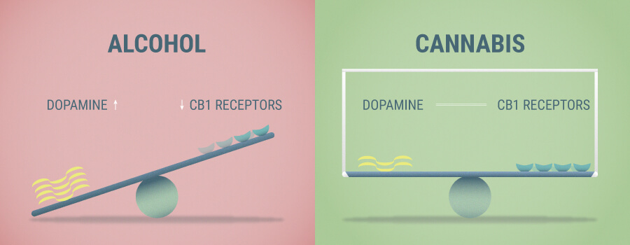 Effets De L'Alcool Et Du Cannabis Effets De L'Alcool Et Du Cannabis