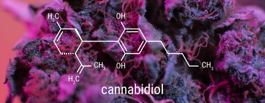 CBD Concentration CBD Concentration