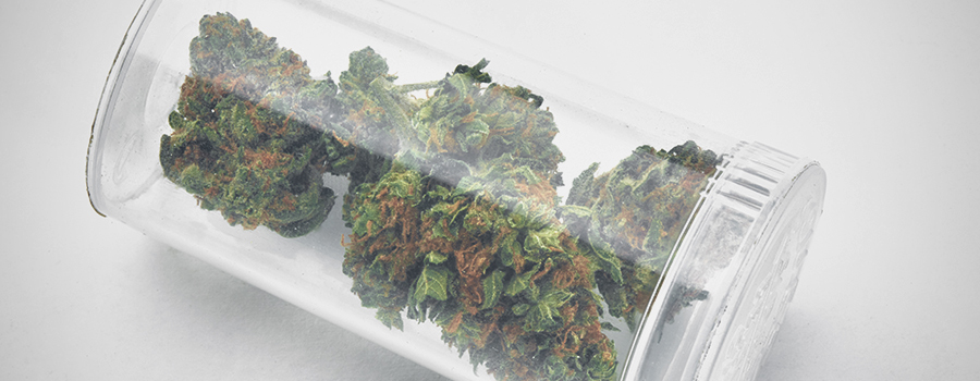 Têtes De Cannabis Médicinal Pour Traitement Diabète Têtes De Cannabis Médicinal Pour Traitement Diabète