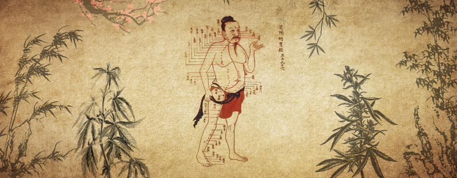 Cannabis En Médecine Traditionnelle Chinoise Acupuncture