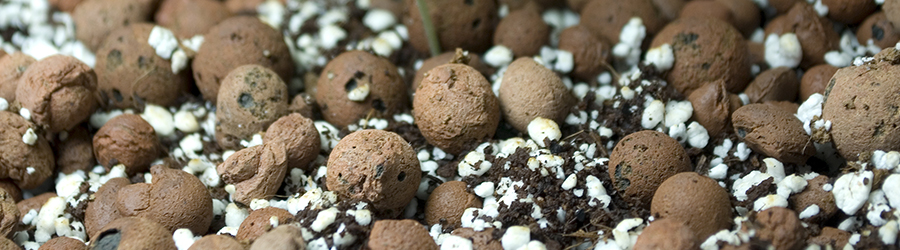 billes d'argile hydroponic 